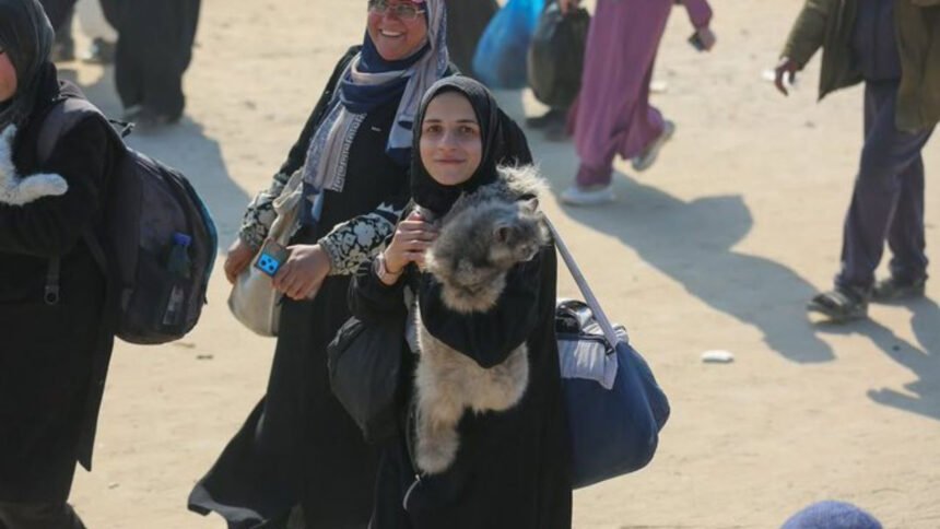 10 लाख फिलिस्तीनियों को कहां भेजने वाले हैं ट्रम्प? जानिए पीठ पीछे अमेरिका का सीक्रेट प्लान