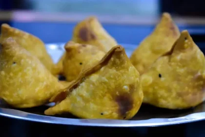 Chowmein Samosa