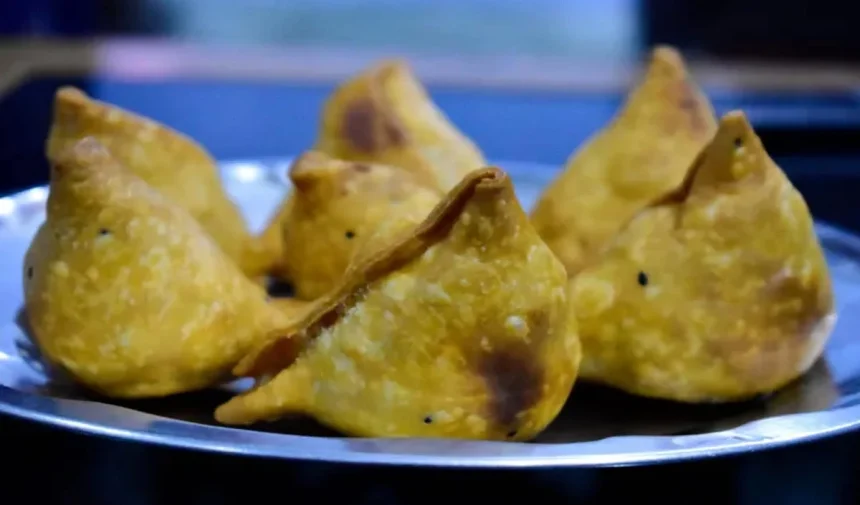 Chowmein Samosa