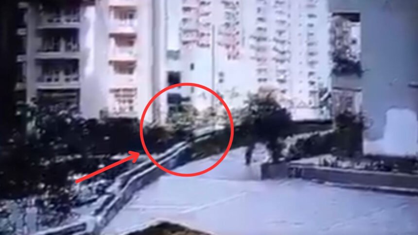 महिला पर कुत्ते ने किया हमला तो जान बचाने के चक्कर में 20 फीट ऊंचाई से गिरी, देखें रोंगटे खड़े करने वाला वीडियो