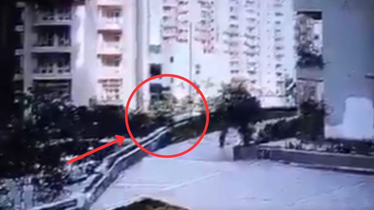 महिला पर कुत्ते ने किया हमला तो जान बचाने के चक्कर में 20 फीट ऊंचाई से गिरी, देखें रोंगटे खड़े करने वाला वीडियो