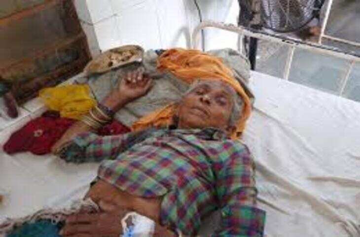 करौली में बुजुर्ग महिला पर भालू का हमला, वीडियो में जानें घायल को अस्पताल में भर्ती कराया