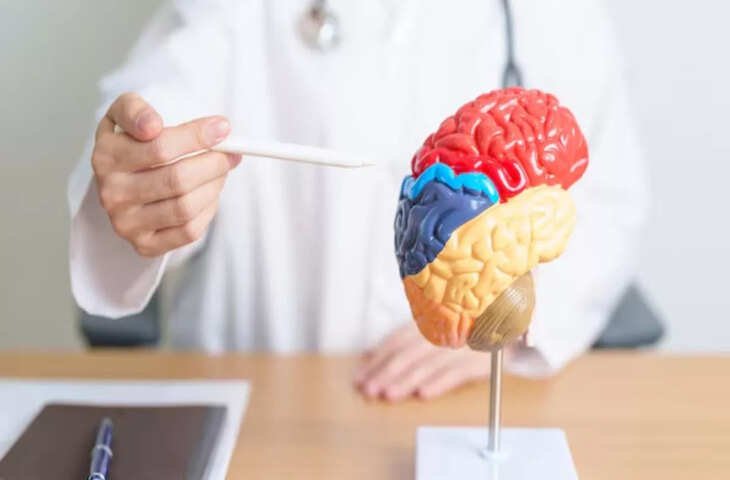 नई साइंटिफिक रिसर्च में चौकाने वाला खुलासा! वीडियो में जाने कैसे भुला दी गई बातें भी हमारे मन और जीवन पर डालती हैं गहरा असर ?