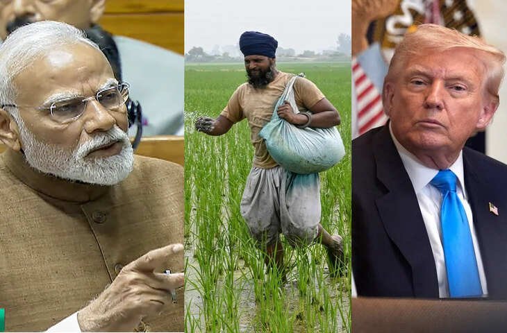 भारत और अमेरिका की ट्रेड डील की बीच बढ़ी किसानों की चिंता, जानिए किस बात का सता रहा डर ?