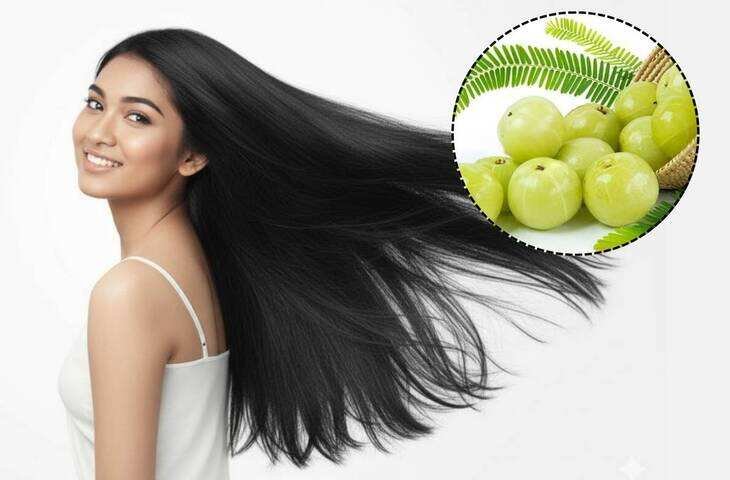 Hair Fall Solution: आंवला और एलोवेरा का ये देसी नुस्खा करेगा बालों को मजबूत, झड़ना होगा बंद! जानें सही तरीका