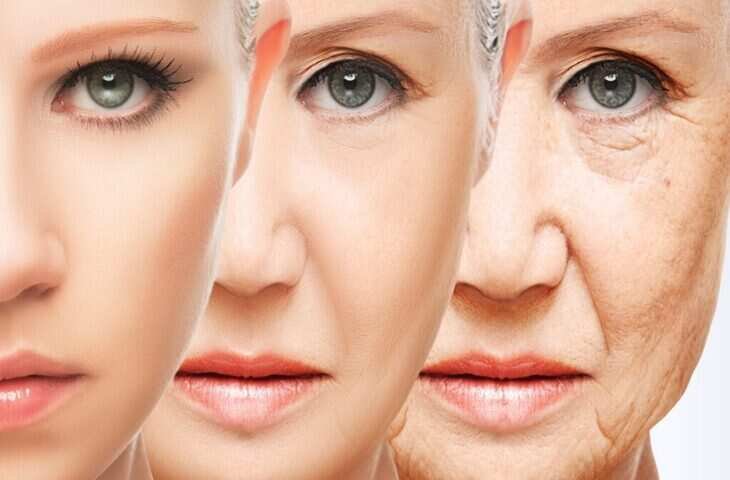 महंगी ब्यूटी थैरेपी और Botox को दे सकता है टक्कर! वैज्ञानिकों ने खोजी स्किन को यंग रखने की नेचुरल तकनीक, रिसर्च में चौंकाने वाले नतीजे