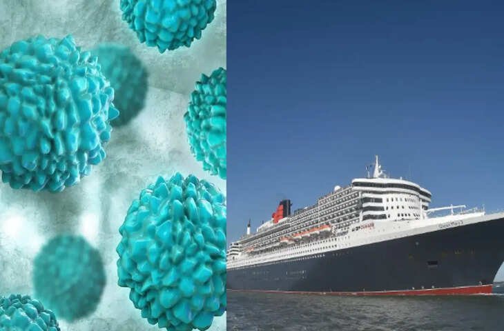 Cruise Ship Virus Outbreak: नोरोवायरस ने मचाई दहशत, 115 लोग अचानक बीमार पड़ने से हड़कंप