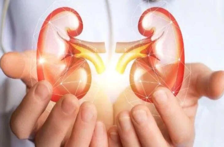 किडनी रोग 2040 तक बन सकता है वैश्विक खतरा लैंसेट की रिपोर्ट ने बढ़ाई चिंता, जानें क्यों बढ़ रहे हैं मामले ?