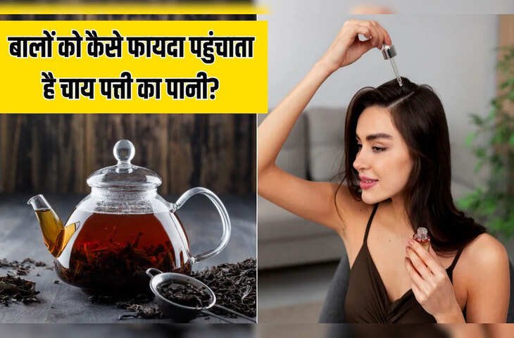सफेद बालों से हैं परेशान? चाय की पत्ती से बाल धोने का यह आसान तरीका कुछ ही दिनों में दिखा सकता है असर